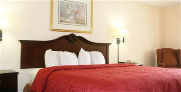 Cherry Lane Motor Inn Amish Country Ronks Quarto foto